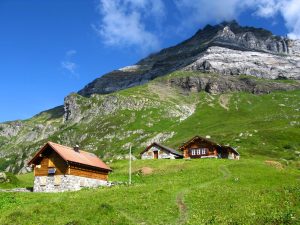 16ad9aa9-4dd8-453f-b16c-7f6acff4e485